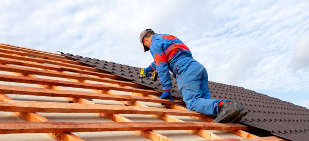 Best Roof Maintenance and Cleaning  in Stone Ridge, VA