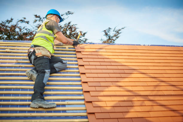 Best Gutter Installation and Repair  in Stone Ridge, VA